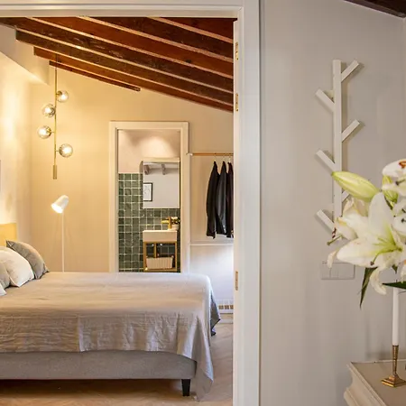 Vlc Host - Santa Cruz Valencia