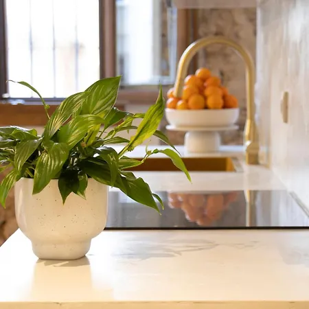 Vlc Host - Santa Cruz * Valencia